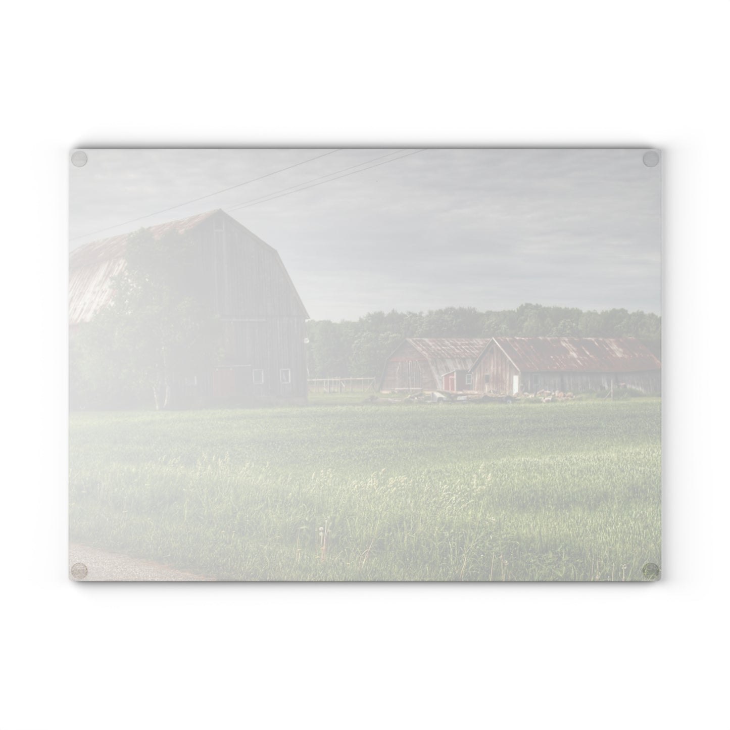 U R There Photography Barkley Road Trio Rustic Farmhouse Tempered-Glass Cutting Board