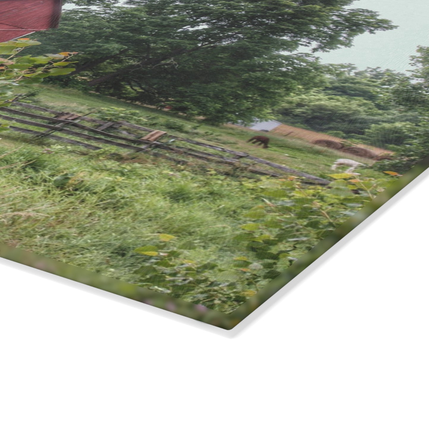 U R There Photography Clifford Road Alpaca Barn Rustic Farmhouse Tempered-Glass Cutting Board