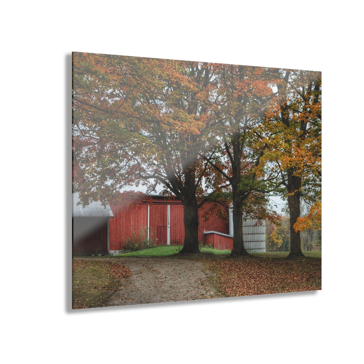 U R There Photography Brown Road Red in the Fall Rustic Farmhouse Acrylic Wall Print