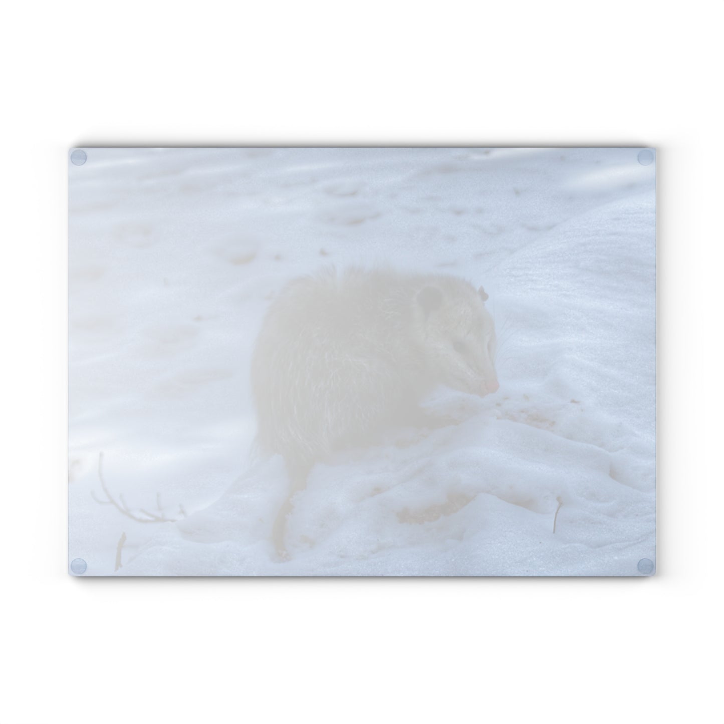 U R There Photography Sutton Road Possum Rustic Farmhouse Tempered-Glass Cutting Board