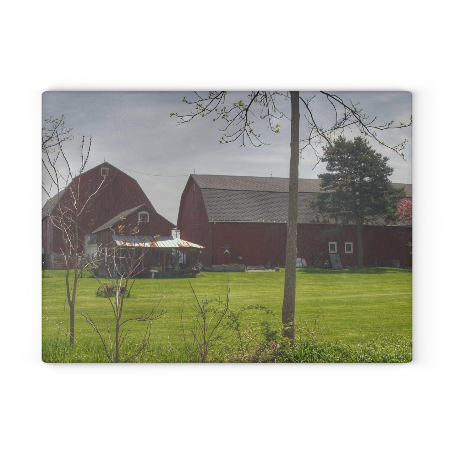 U R There Photography Bishop Road Reds I Rustic Farmhouse Tempered-Glass Cutting Board 8"x 11"