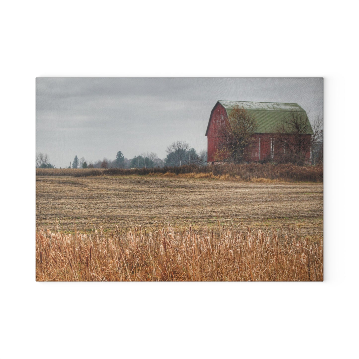 U R There Photography Bowers Road Red IV Rustic Farmhouse Tempered-Glass Cutting Board