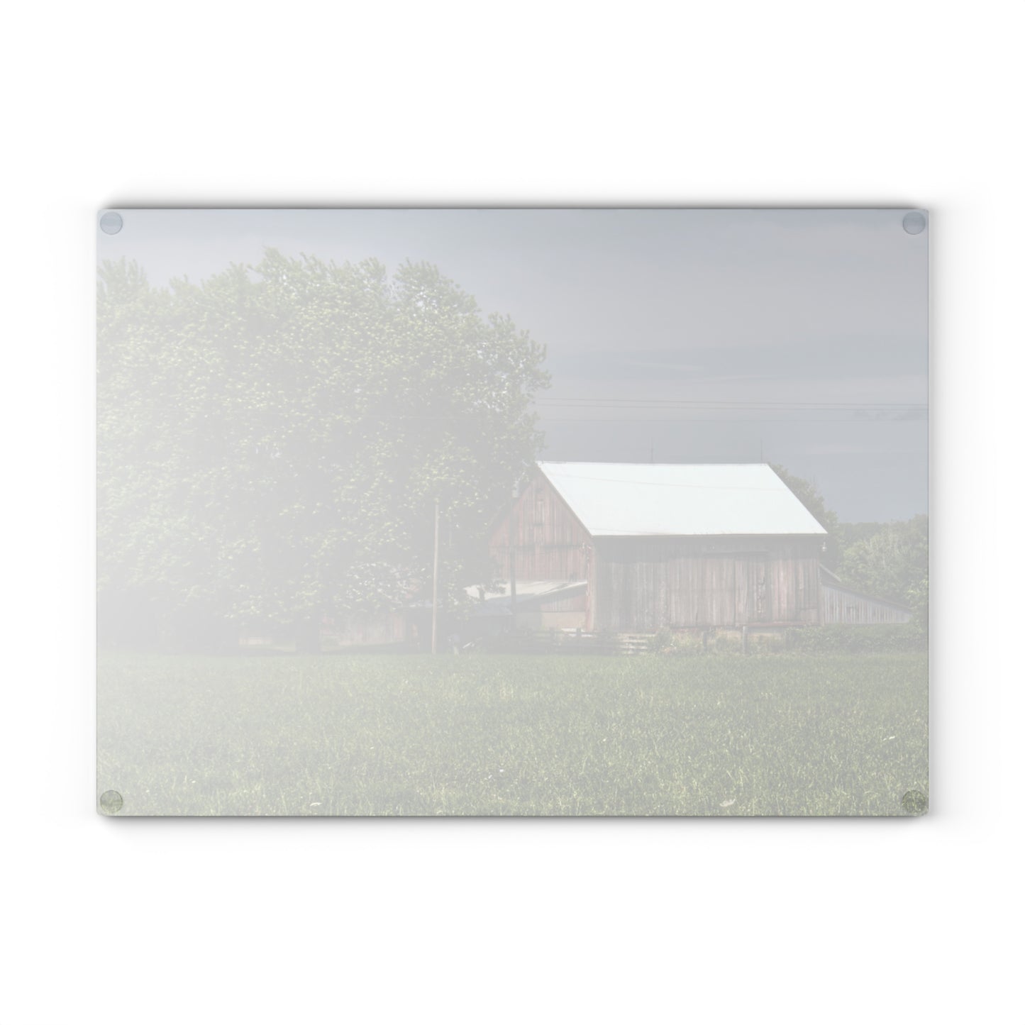 U R There Photography Castle Road Cow Barn III Rustic Farmhouse Tempered-Glass Cutting Board