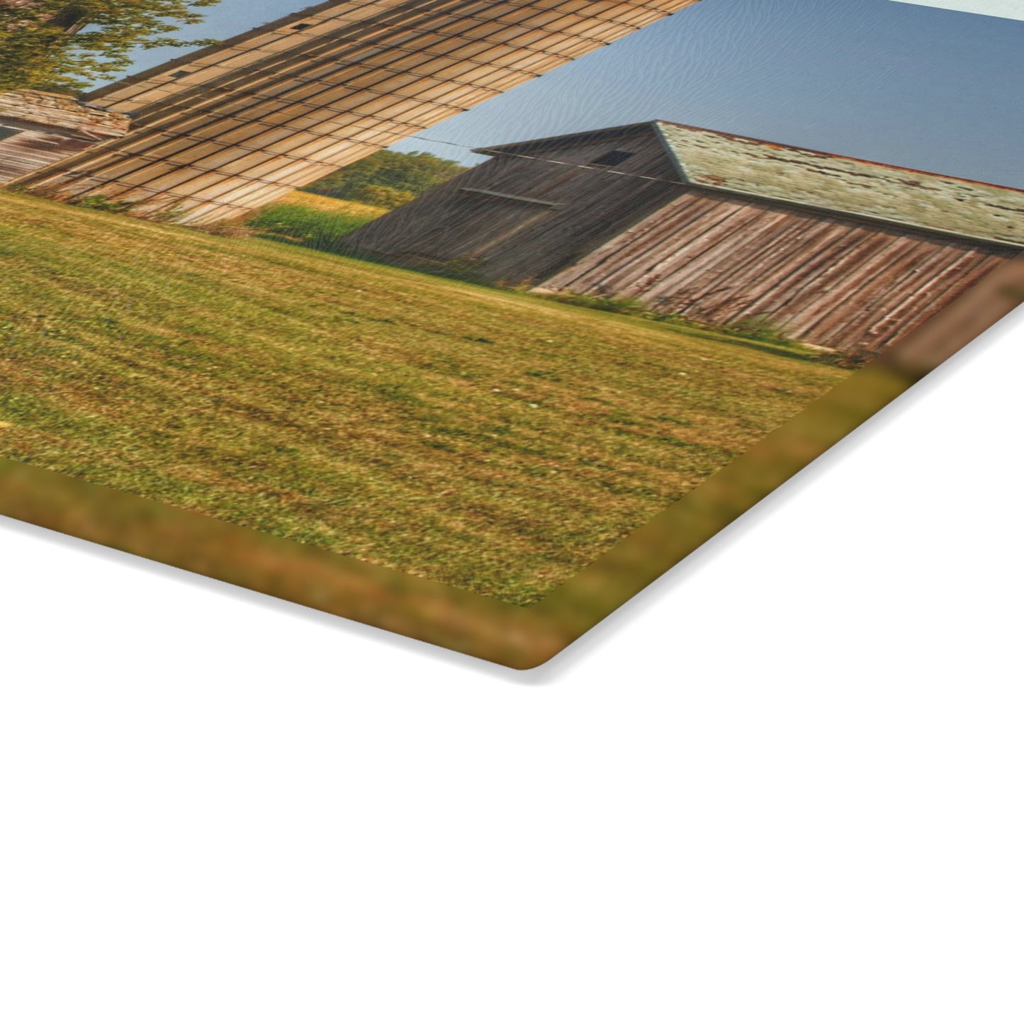 U R There Photography Swaffer Mini Greys and Silos Rustic Farmhouse Tempered-Glass Cutting Board