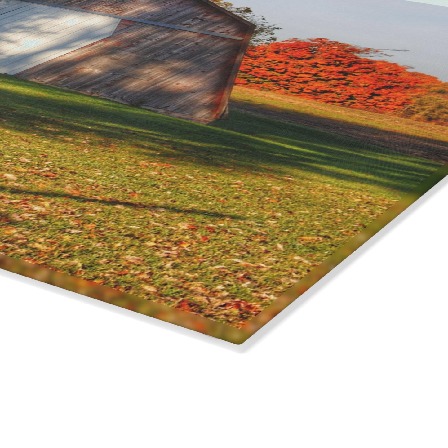 U R There Photography Cade Road Quonset Rustic Farmhouse Tempered-Glass Cutting Board