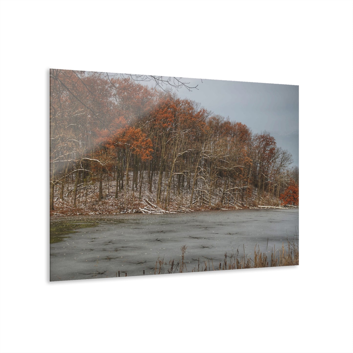 U R There Photography The Freeze of Thornville Rustic Farmhouse Acrylic Wall Print