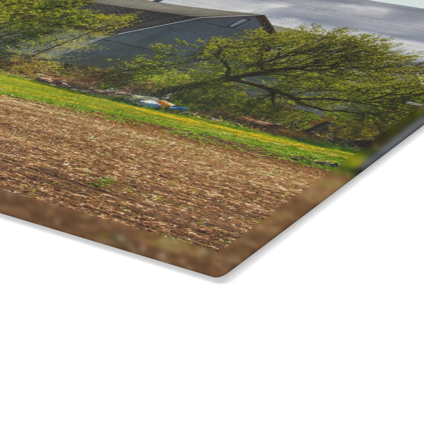 U R There Photography Rescue Road Old Grey Rustic Farmhouse Tempered-Glass Cutting Board