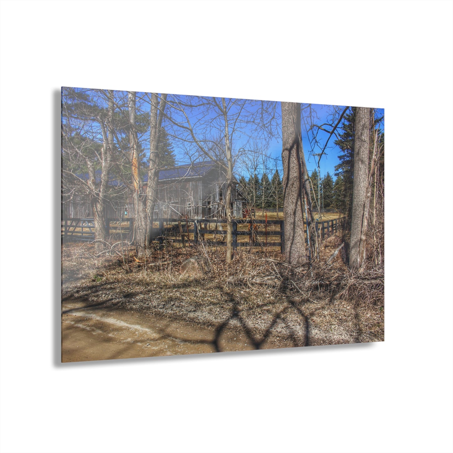 U R There Photography Brewer Road Grey Rustic Farmhouse Acrylic Wall Print