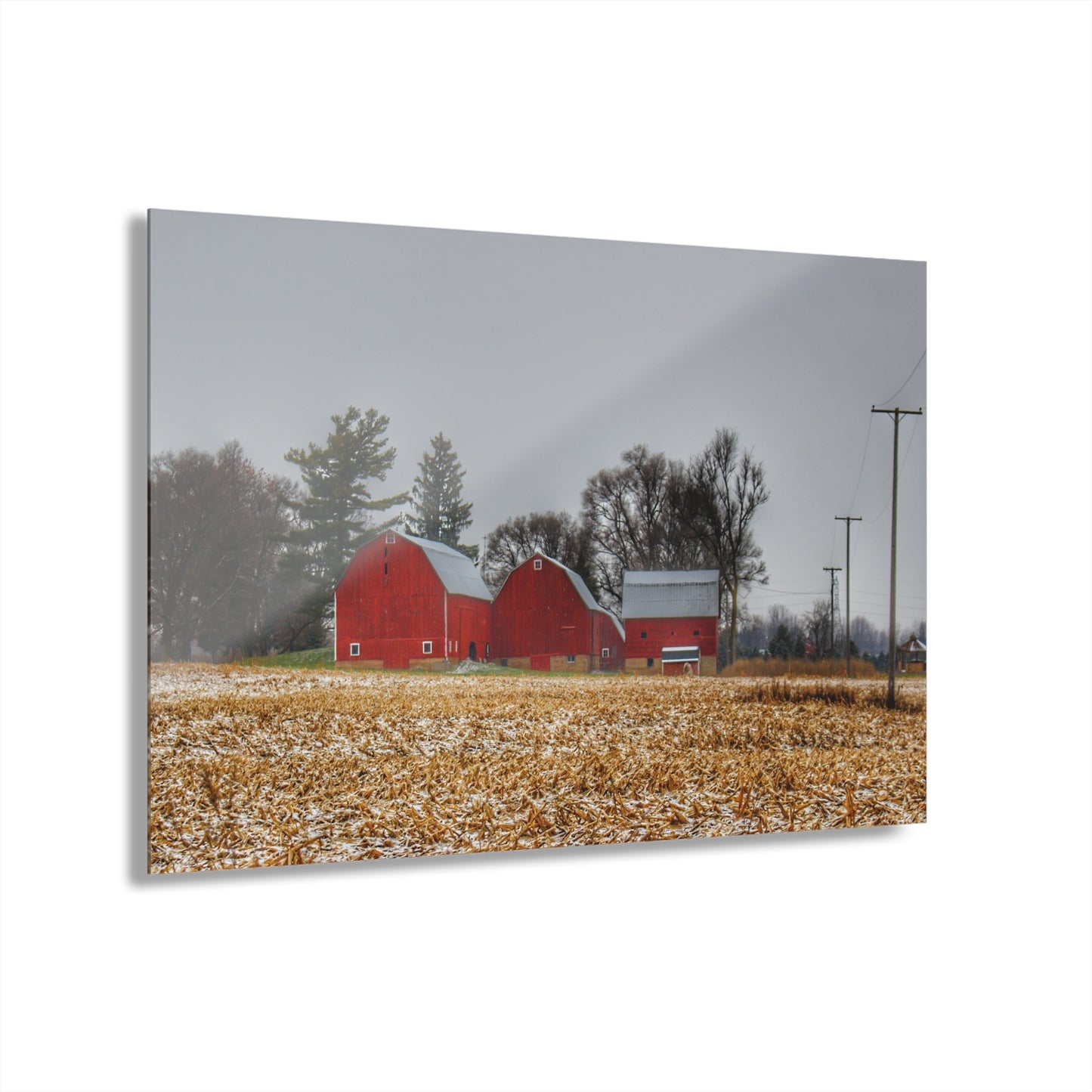 U R There Photography Shoemaker Road Winter Reds II Rustic Farmhouse Acrylic Wall Print