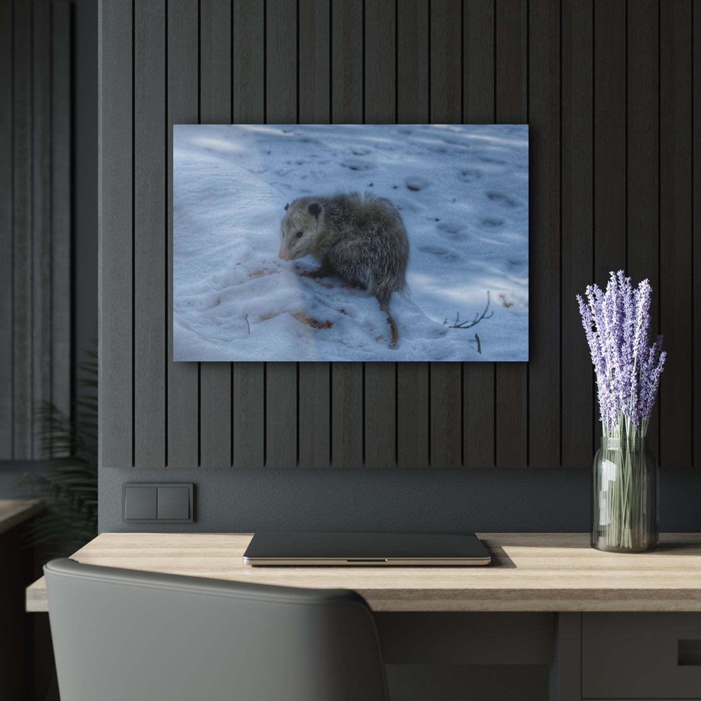 U R There Photography Sutton Road Possum Rustic Farmhouse Acrylic Wall Print