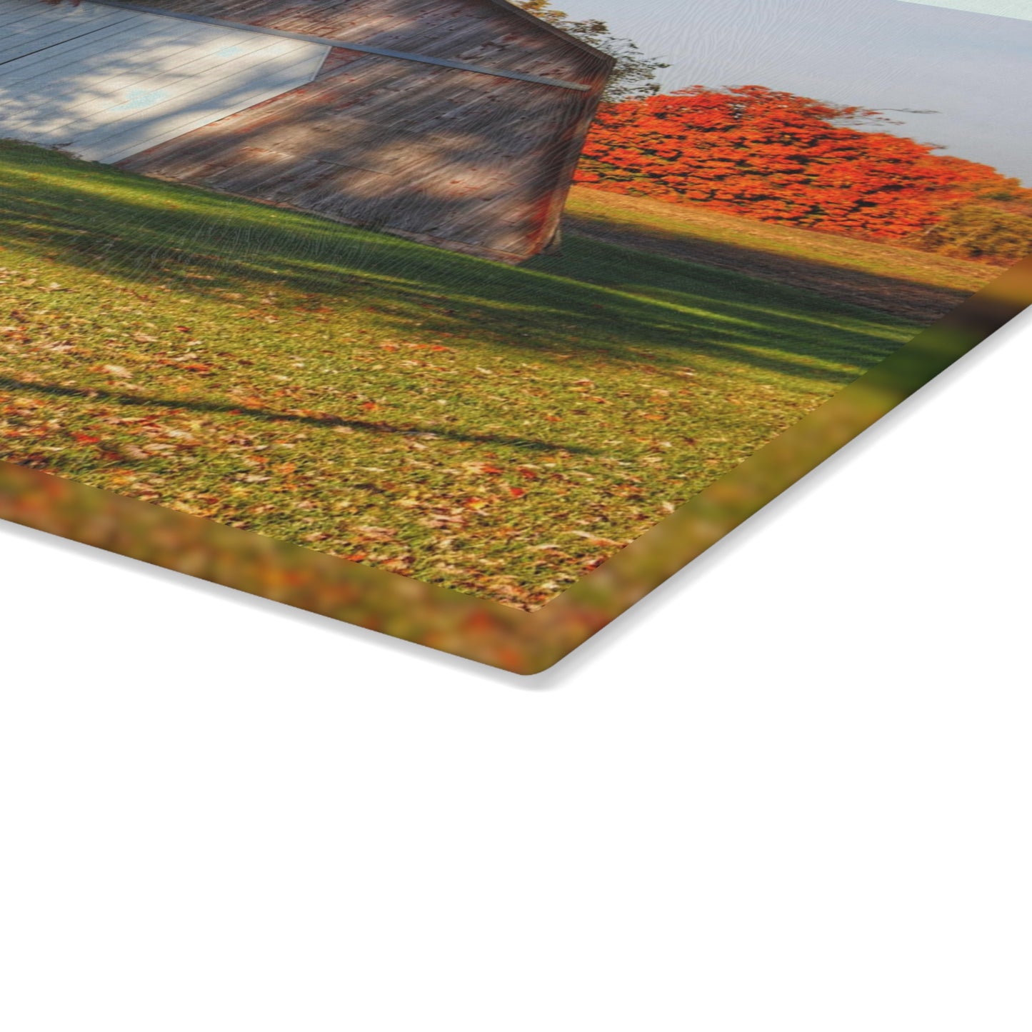 U R There Photography Cade Road Quonset Rustic Farmhouse Tempered-Glass Cutting Board