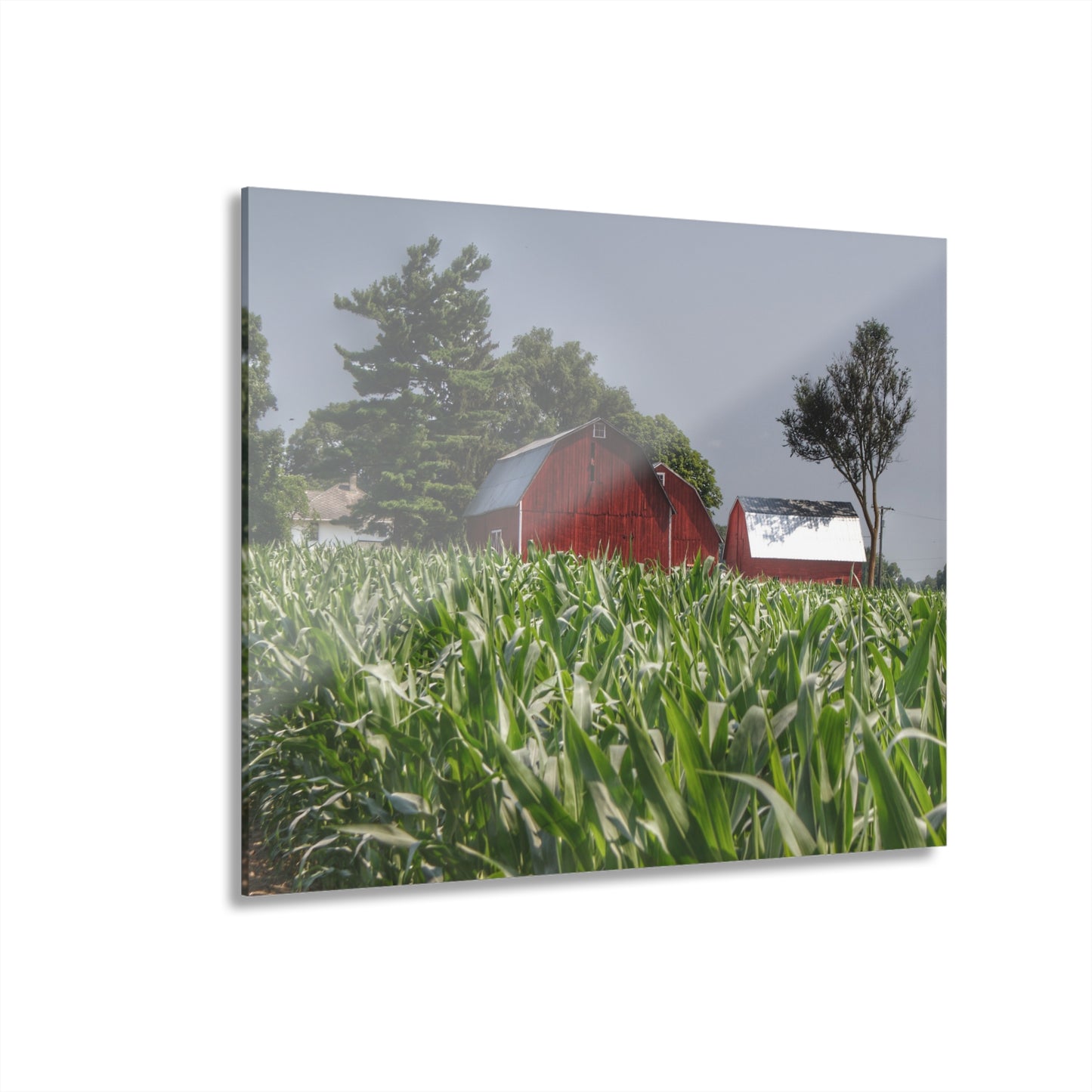 U R There Photography Shoemaker Reds Rustic Farmhouse Acrylic Wall Print