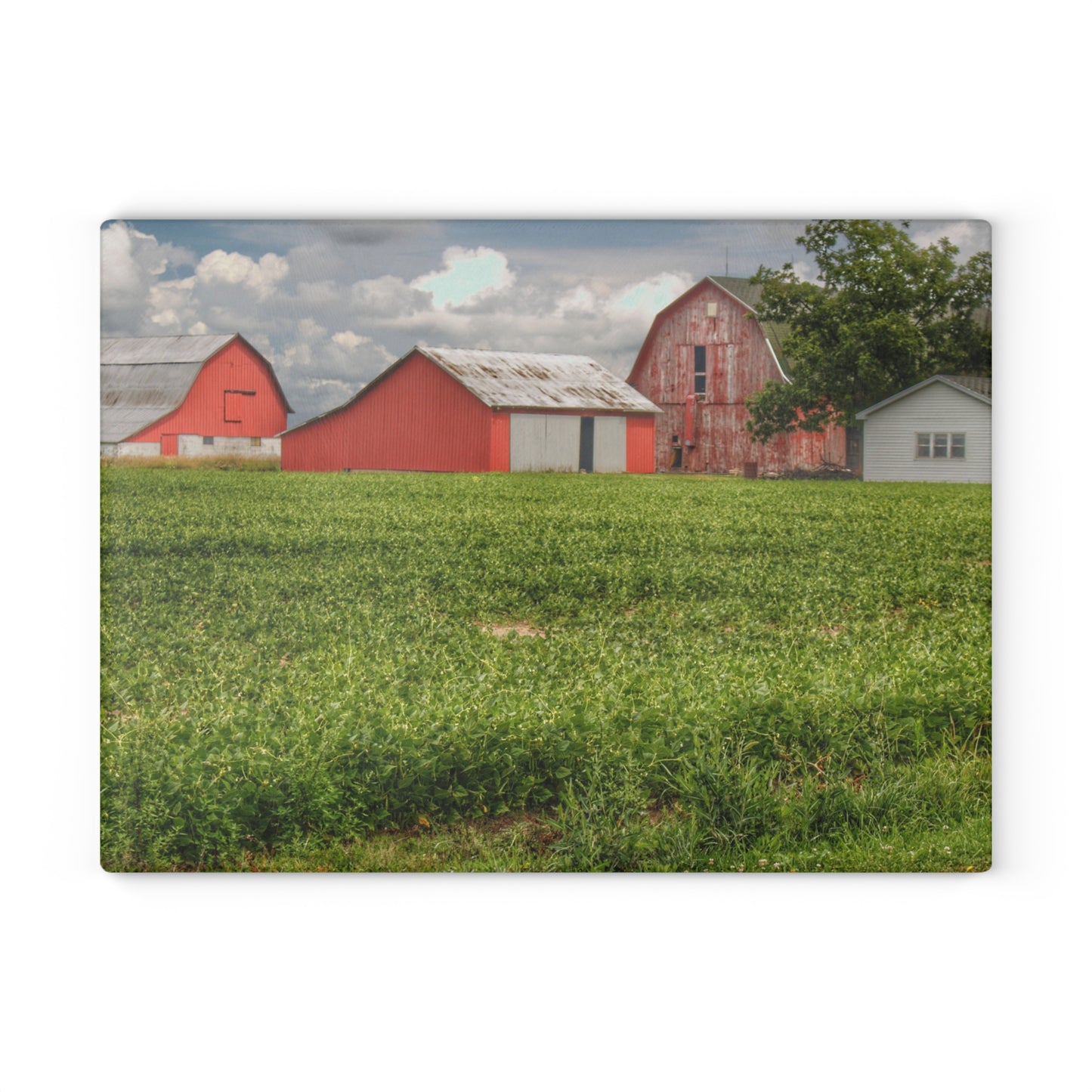 U R There Photography Roadside Trio Rustic Farmhouse Tempered-Glass Cutting Board