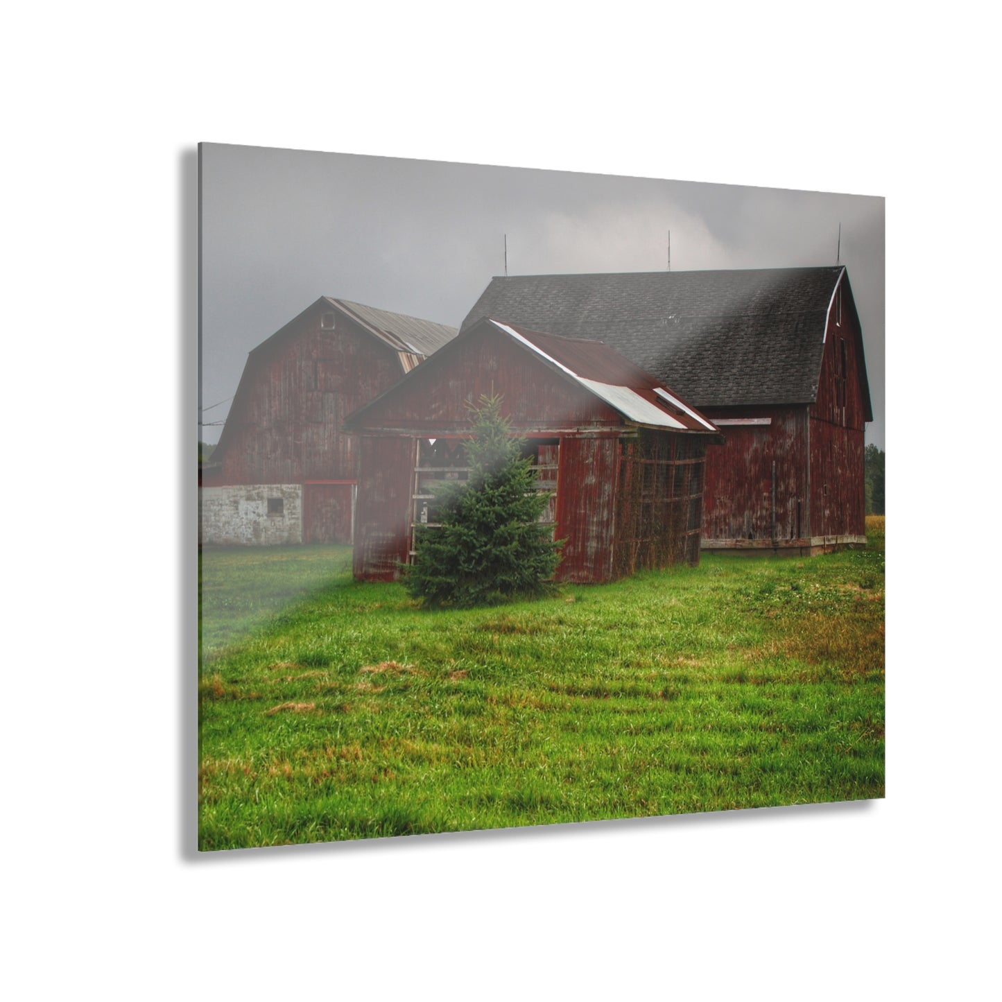 U R There Photography Winslow Road Reds Rustic Farmhouse Acrylic Wall Print