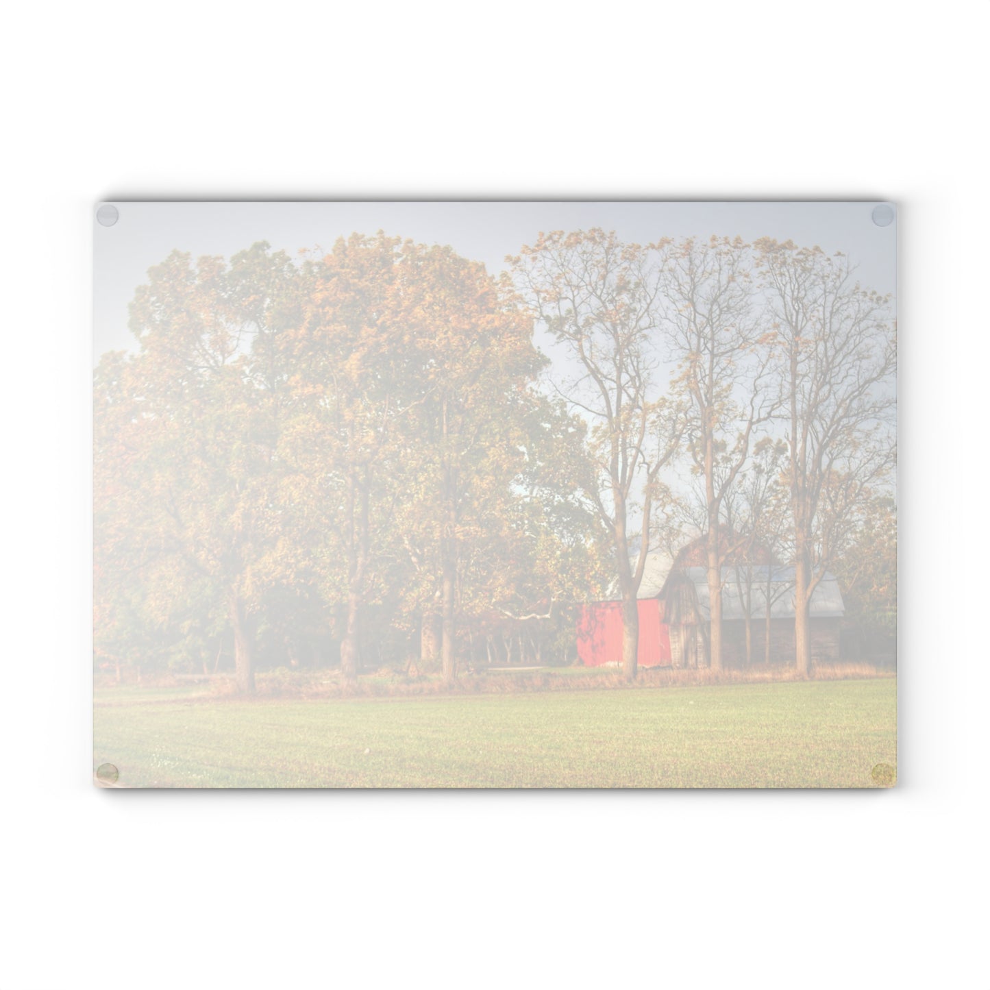 U R There Photography Barkley Road Red II Rustic Farmhouse Tempered-Glass Cutting Board