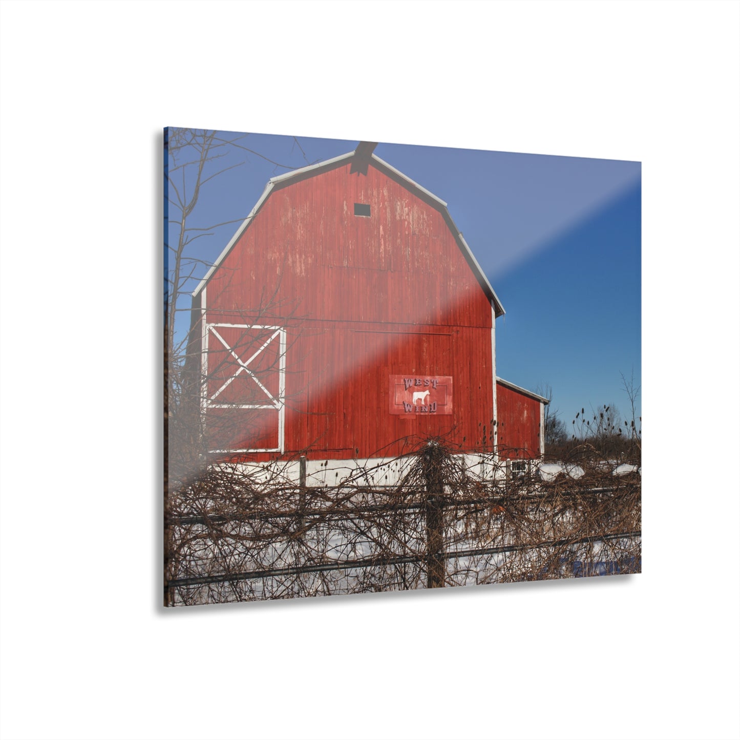 U R There Photography Vassar Red Wild Rustic Farmhouse Acrylic Wall Print