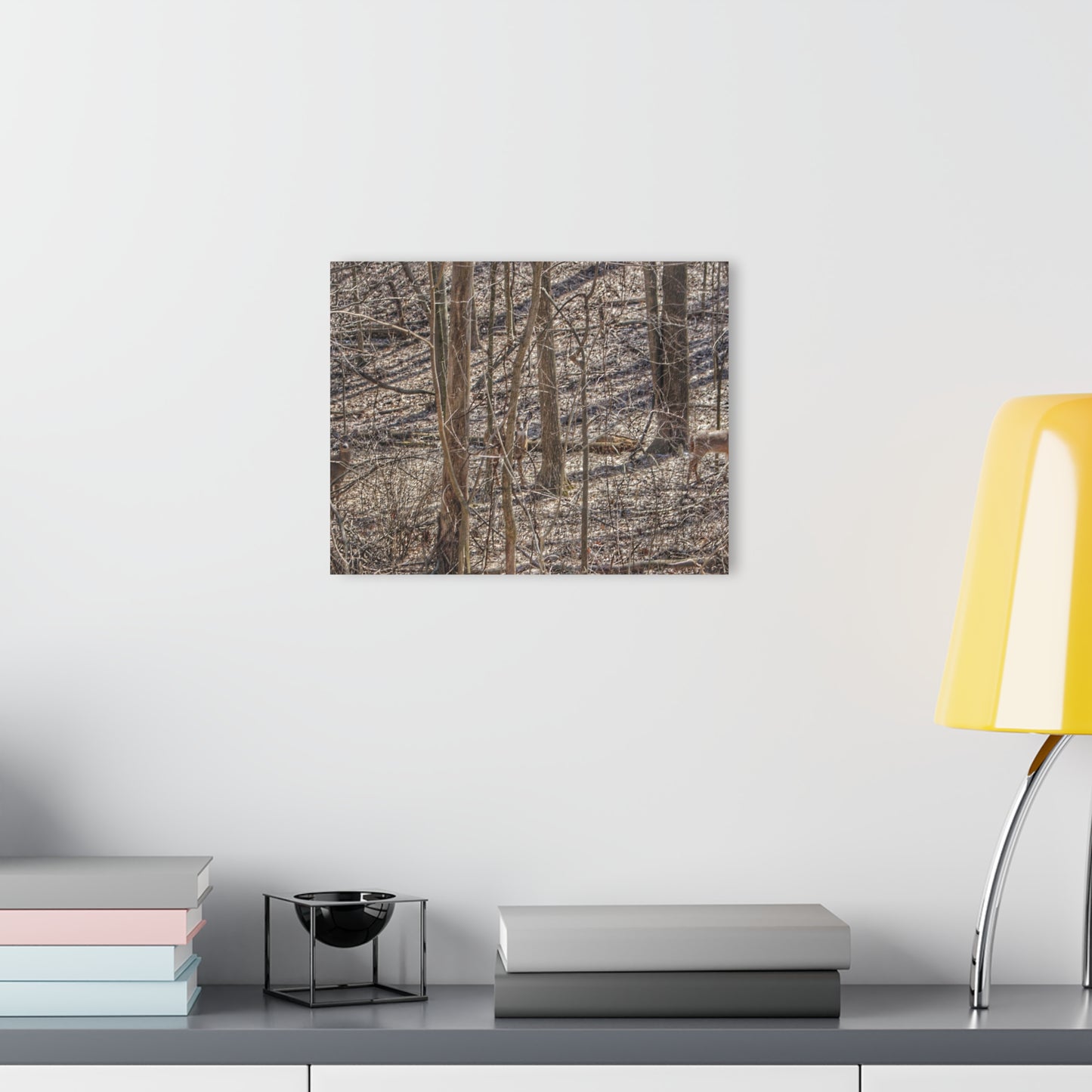 U R There Photography Three Does of Dryden Rustic Farmhouse Acrylic Wall Print