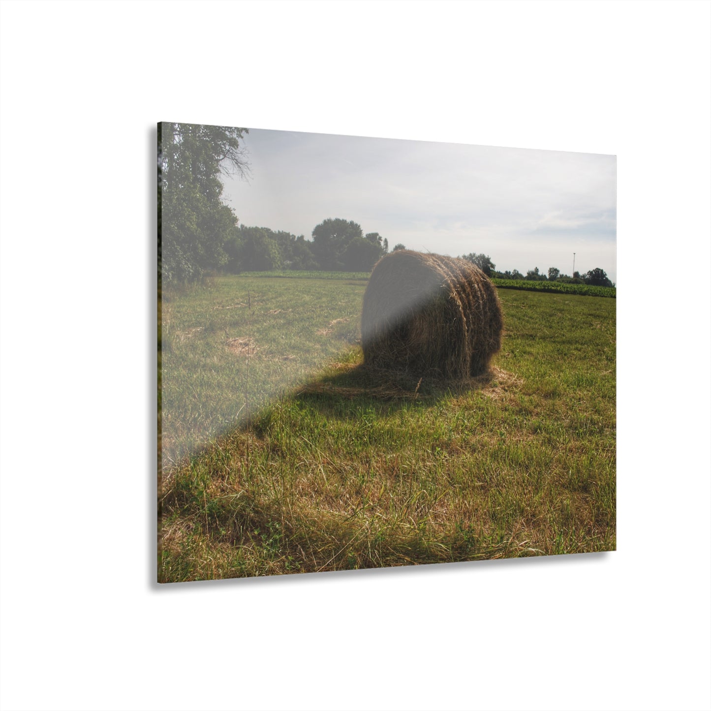 U R There Photography Summer Haybales II Rustic Farmhouse Acrylic Wall Print