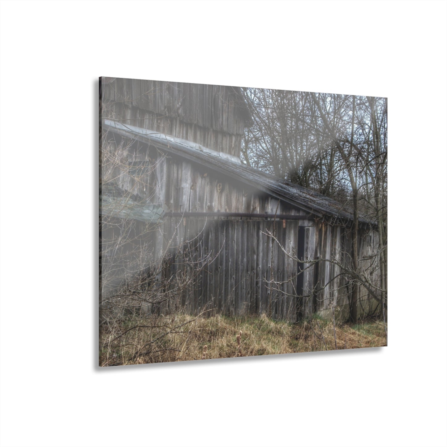 U R There Photography Rural Decay in Early Spring Rustic Farmhouse Acrylic Wall Print