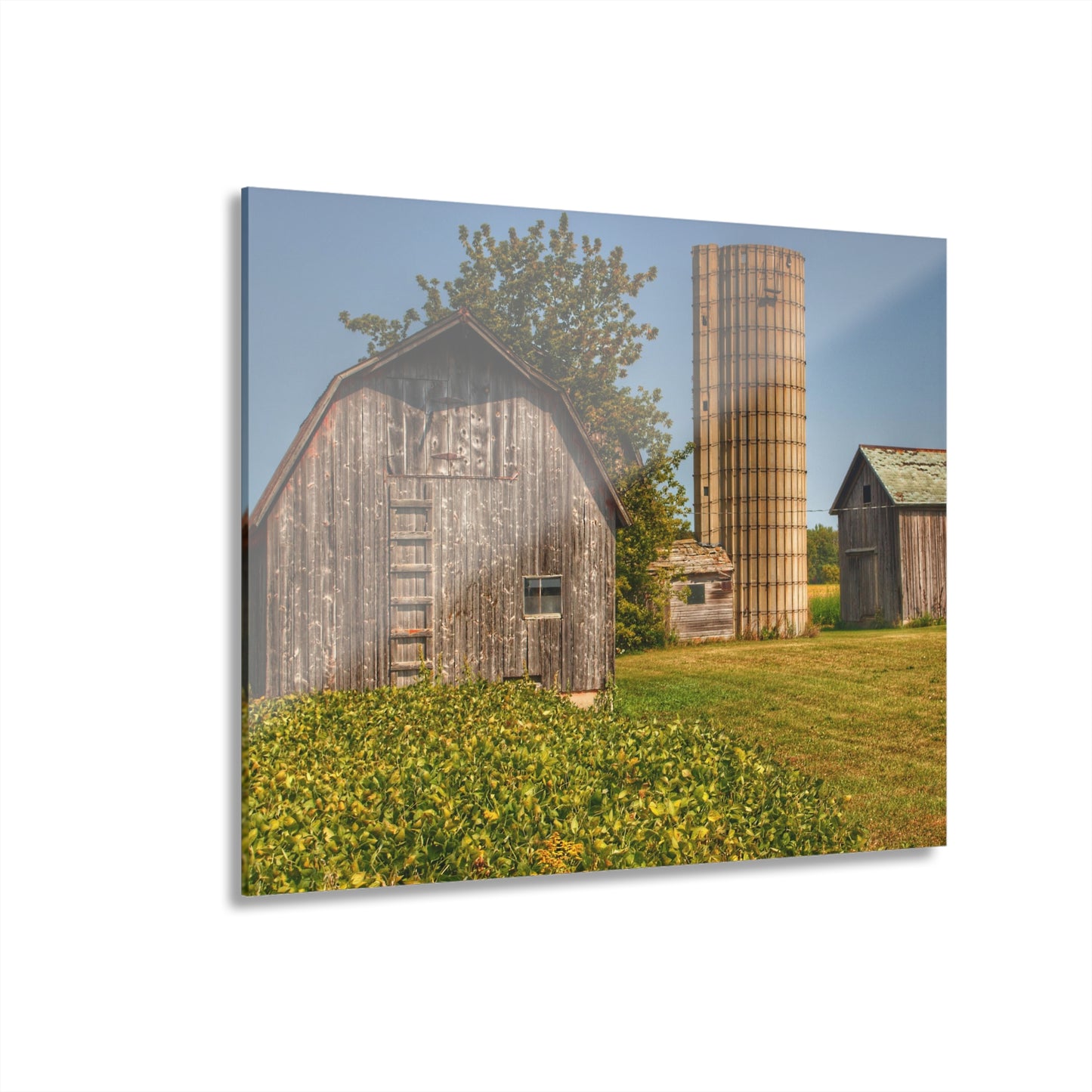 U R There Photography Swaffer Mini Greys and Silos Rustic Farmhouse Acrylic Wall Print
