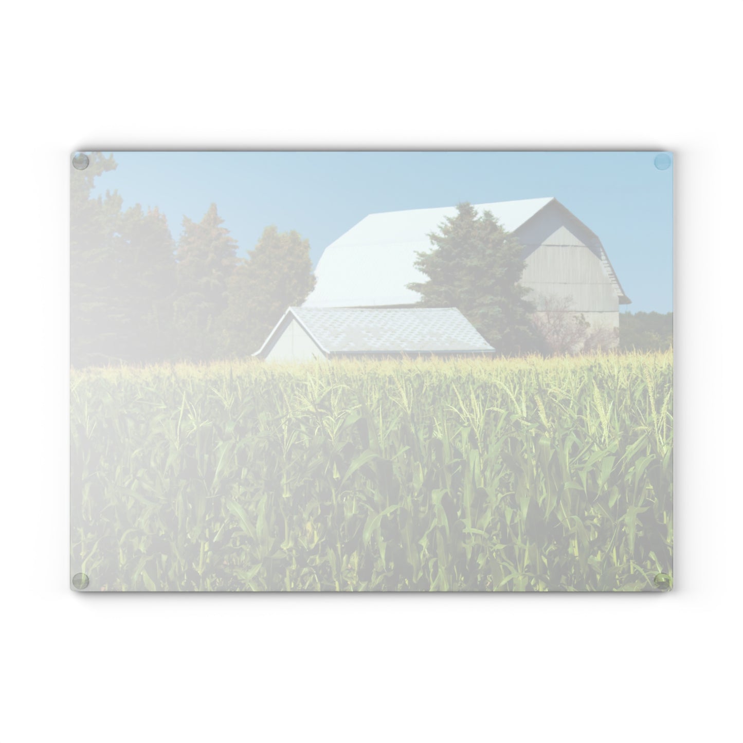 U R There Photography White Cornfield Barn Rustic Farmhouse Tempered-Glass Cutting Board