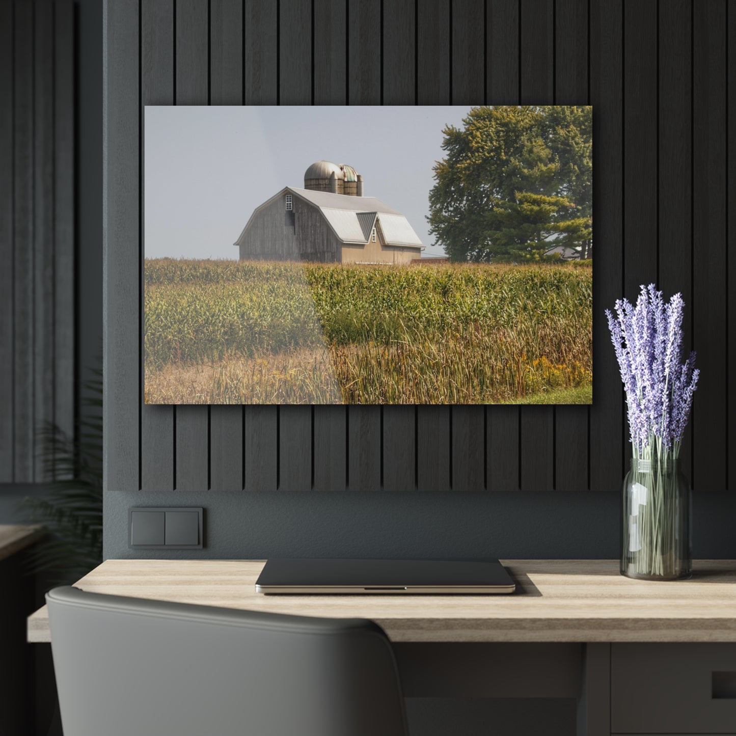 U R There Photography Beyond the September Corn on Swaffer Rustic Farmhouse Acrylic Wall Print