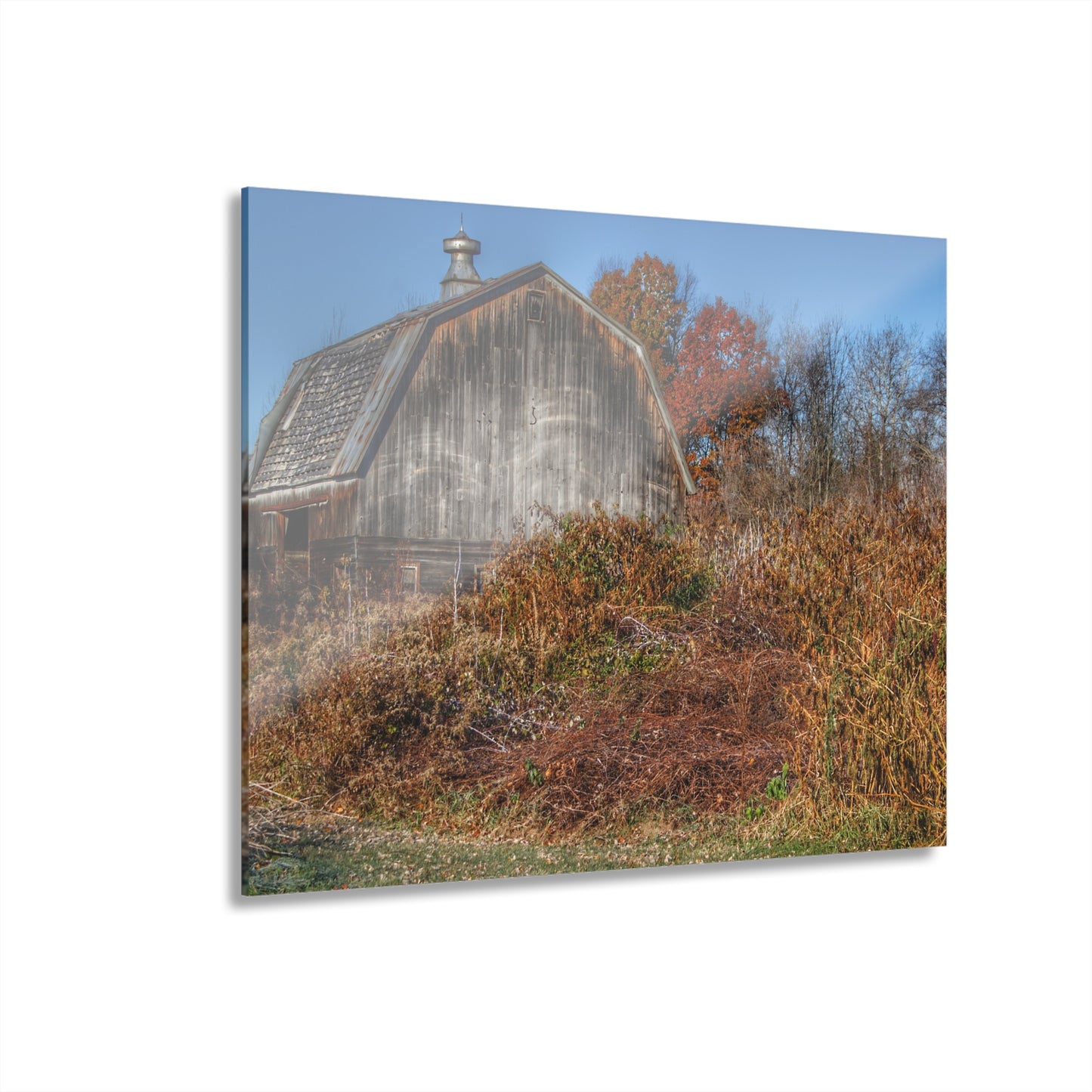 U R There Photography Vassar Road Hidden Grey II Rustic Farmhouse Acrylic Wall Print