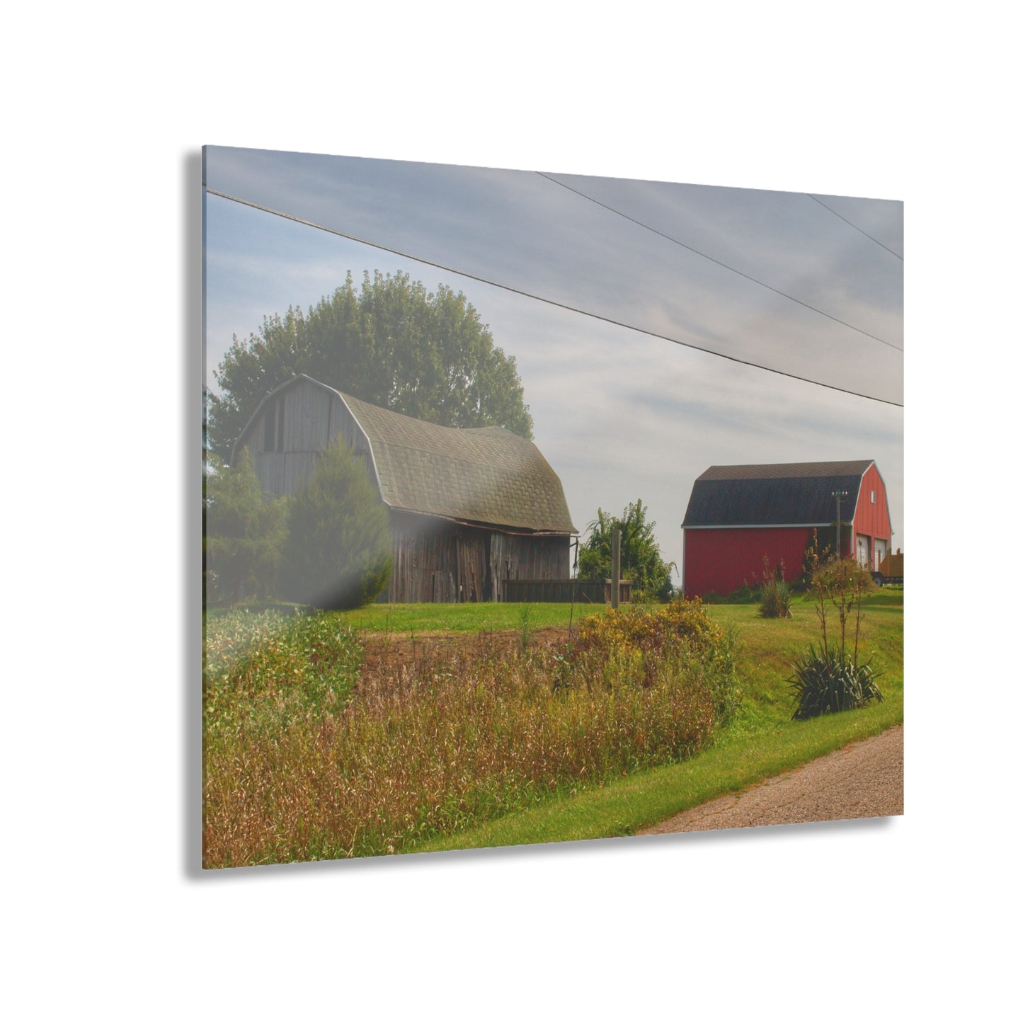 U R There Photography Schott Road Generations Rustic Farmhouse Acrylic Wall Print