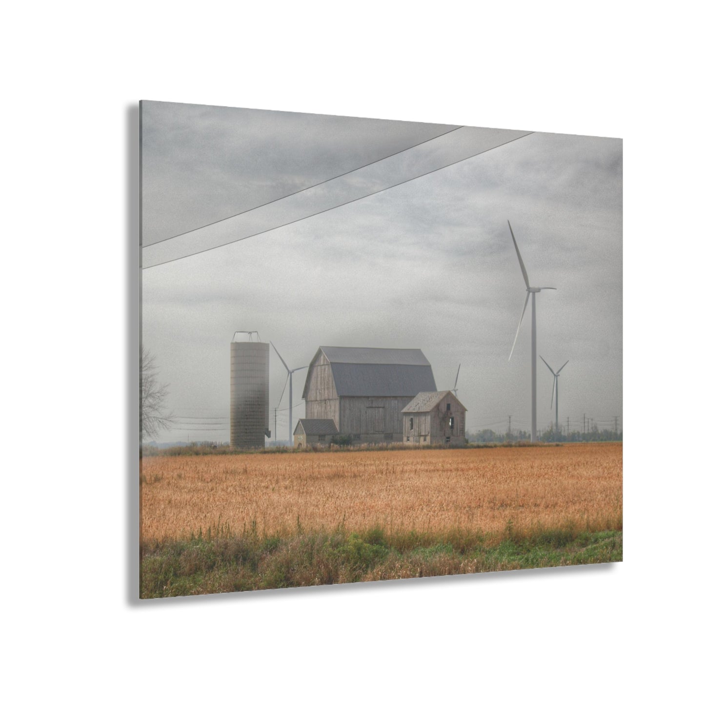 U R There Photography Pinabog Greys Rustic Farmhouse Acrylic Wall Print 14 "x 11"