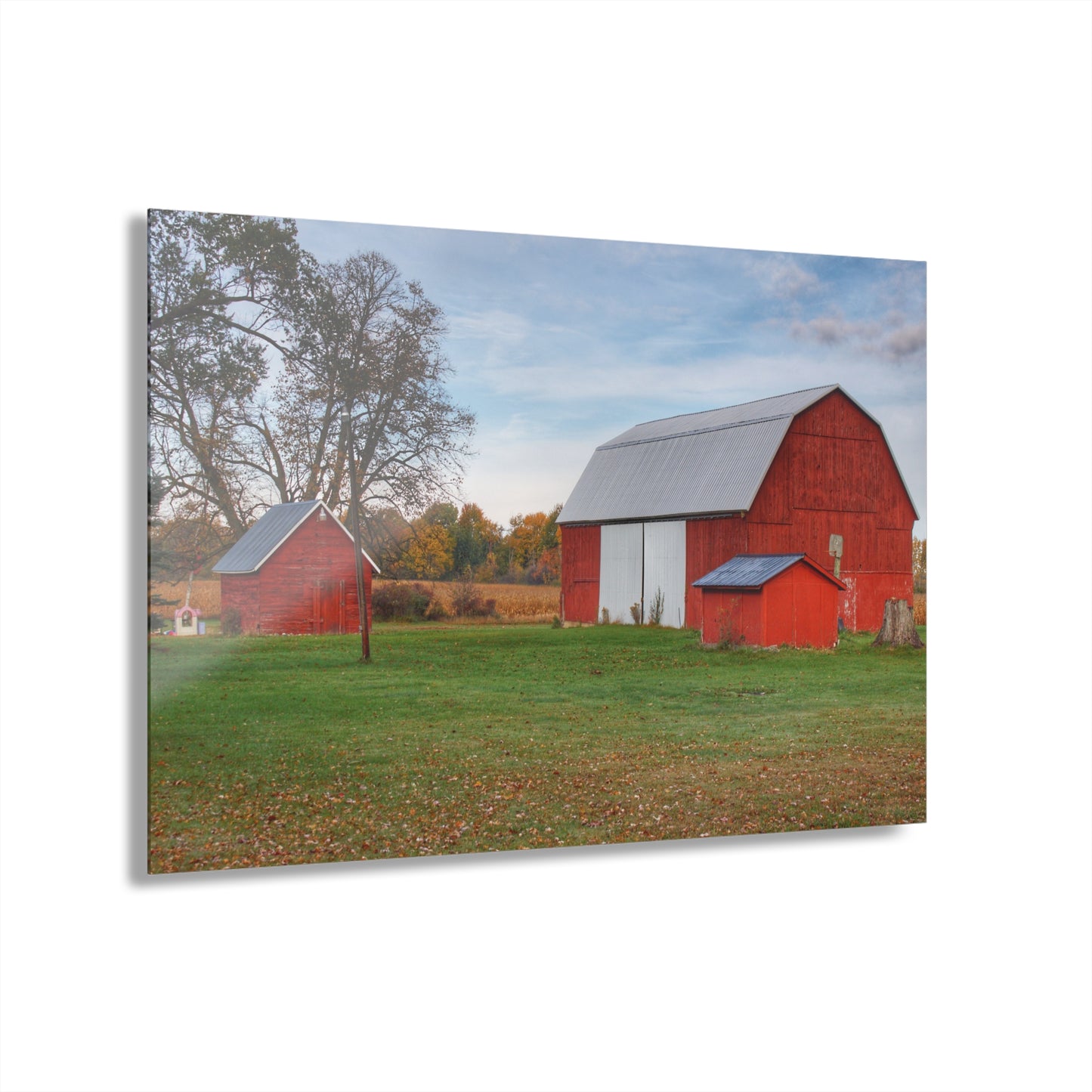U R There Photography Ruth Reds Rustic Farmhouse Acrylic Wall Print