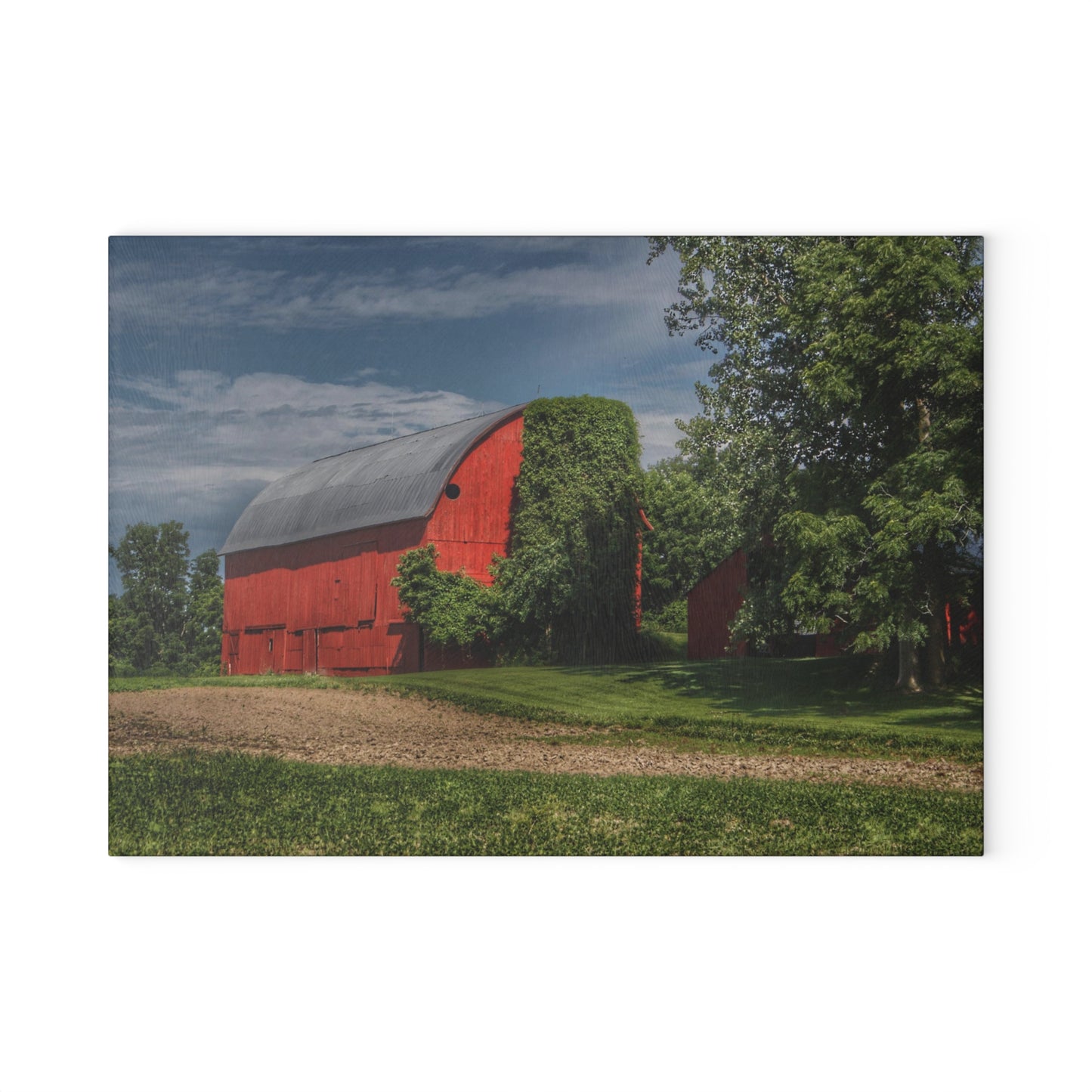 U R There Photography Catlin Road Red I Rustic Farmhouse Tempered-Glass Cutting Board