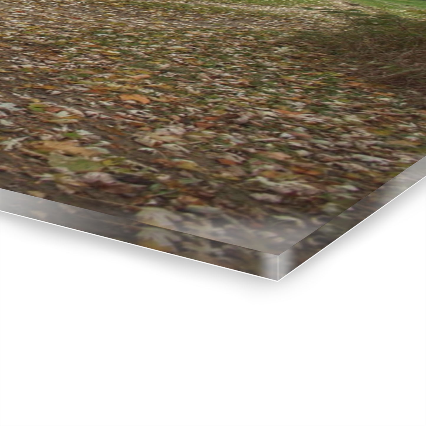 U R There Photography Wilder Road Greys II Rustic Farmhouse Acrylic Wall Print