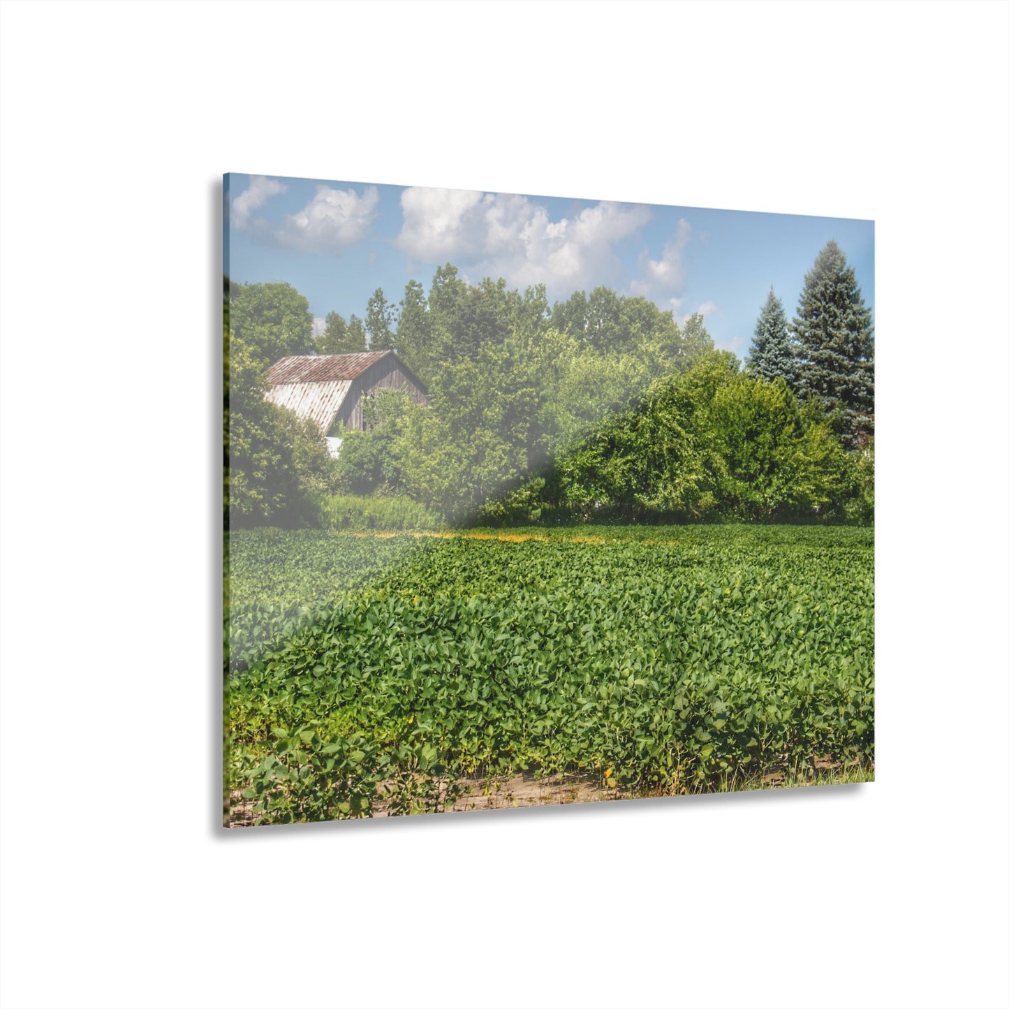 U R There Photography Canada Road Hidden Rustic Farmhouse Acrylic Wall Print