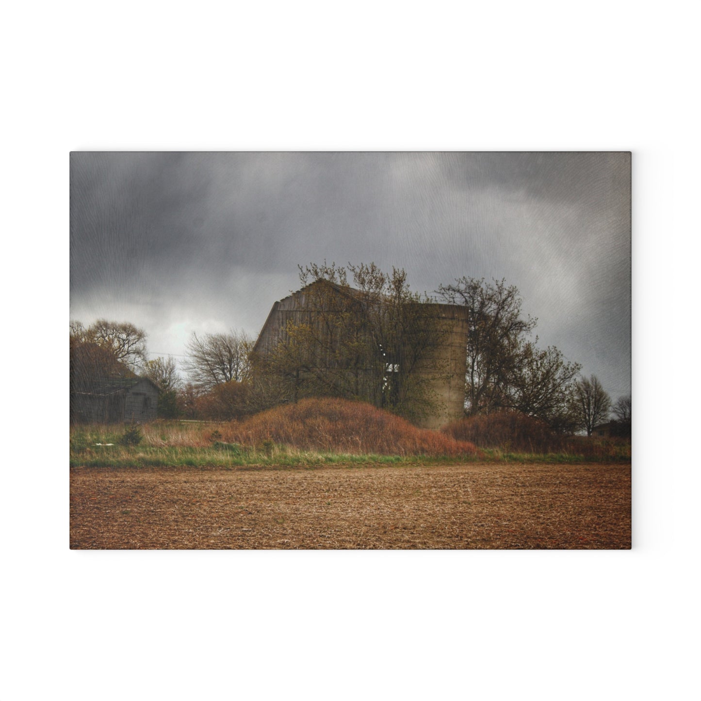 U R There Photography West Snover Grey Rustic Farmhouse Tempered-Glass Cutting Board