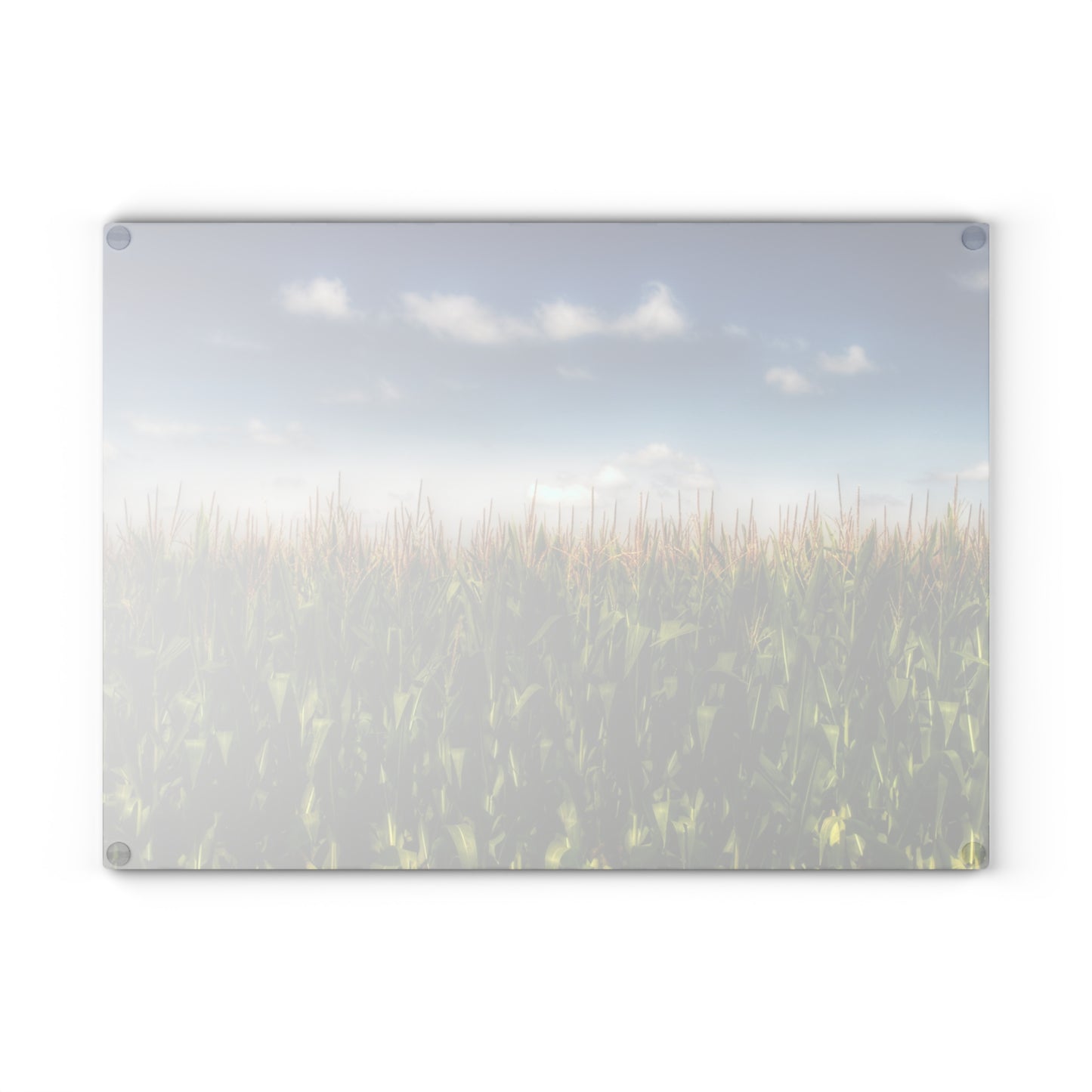U R There Photography Sky-High Corn Rustic Farmhouse Tempered-Glass Cutting Board