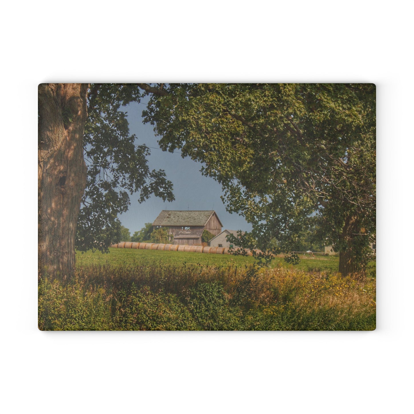 U R There Photography Treasurer Road Haybarn Rustic Farmhouse Tempered-Glass Cutting Board