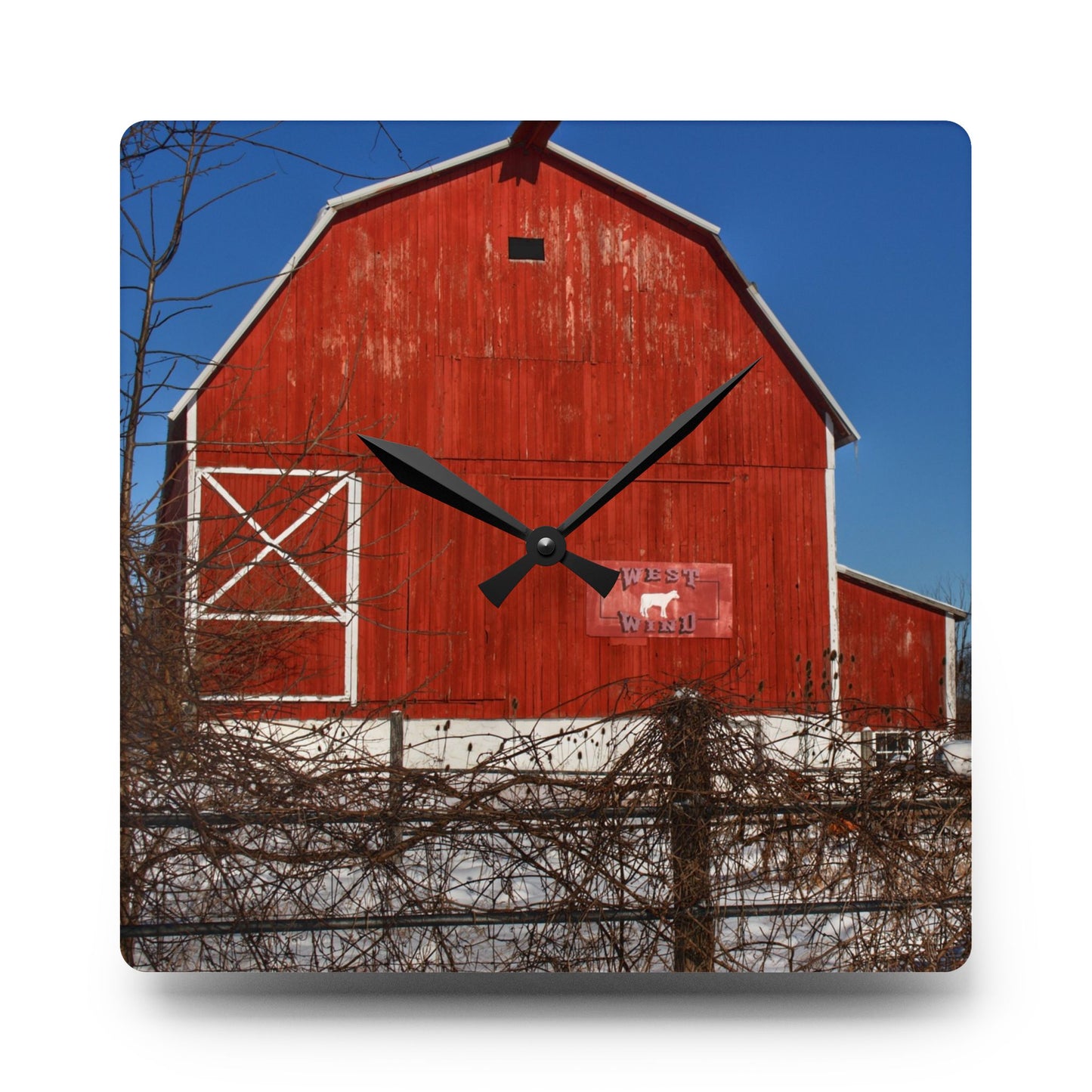 U R There Photography Vassar Red Wild Rustic Farmhouse Acrylic Analog Wall Clock