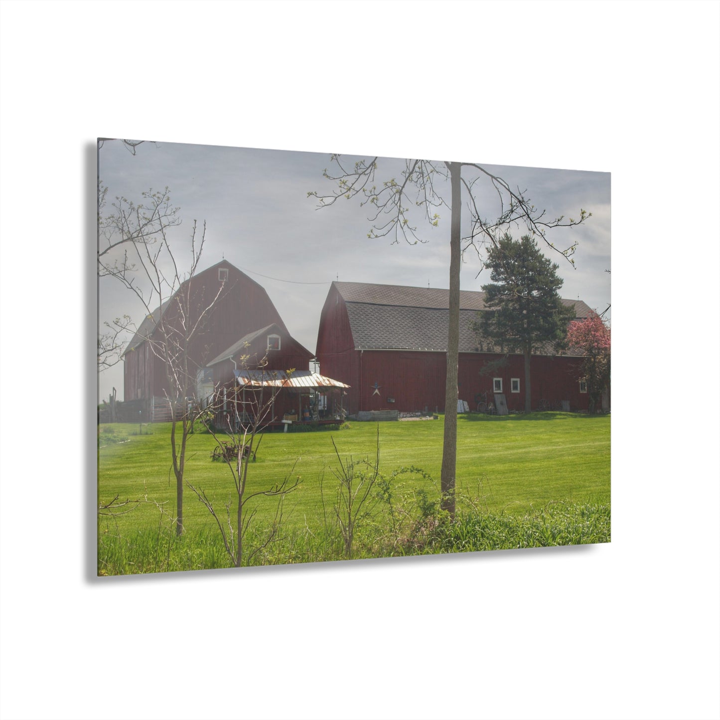 U R There Photography Bishop Road Reds I Rustic Farmhouse Acrylic Wall Print