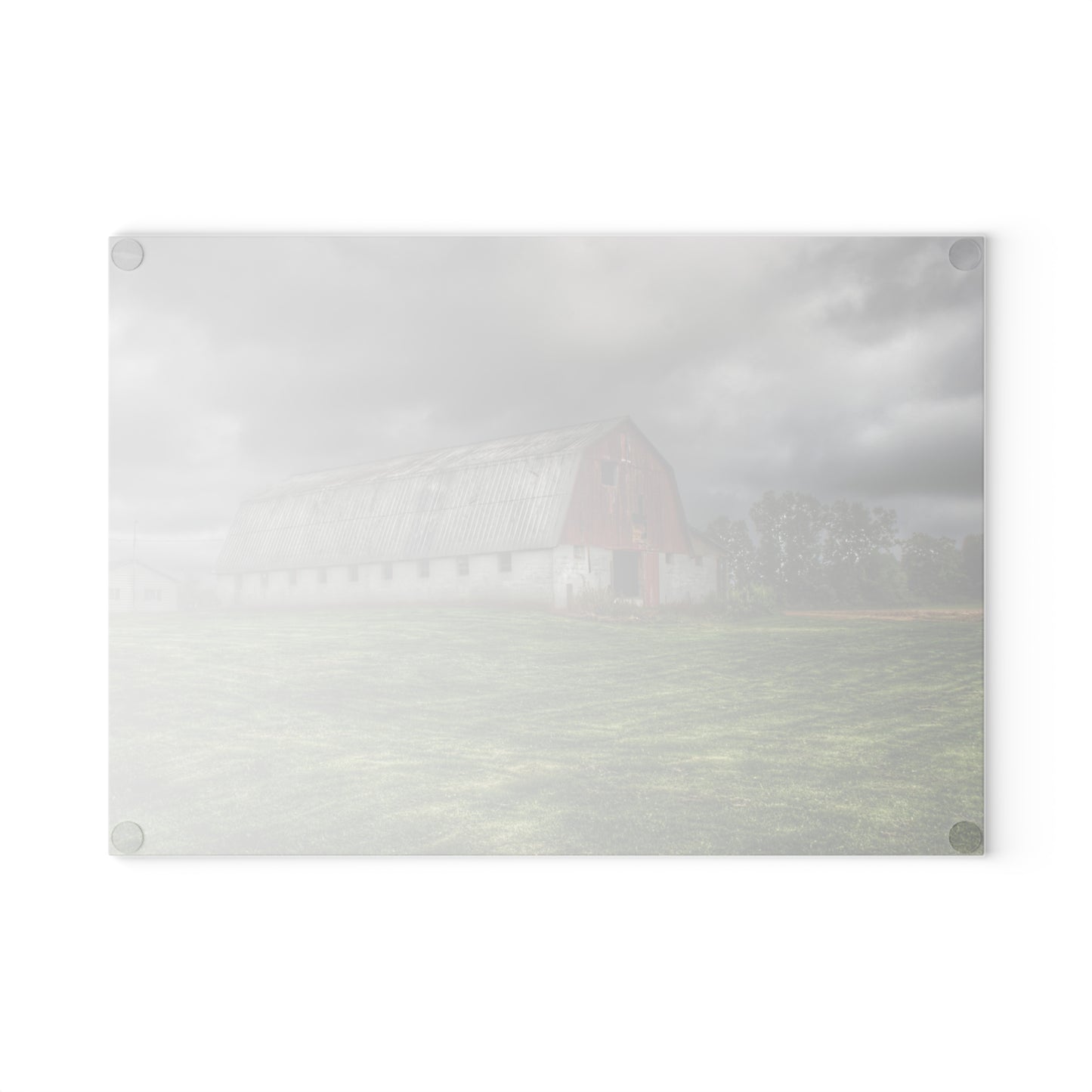U R There Photography Peters Red Appaloosa I Rustic Farmhouse Tempered-Glass Cutting Board 8"x 11