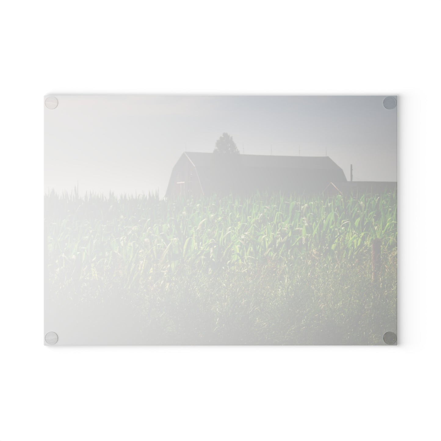 U R There Photography Beyond the Corn in Metamora Rustic Farmhouse Tempered-Glass Cutting Board
