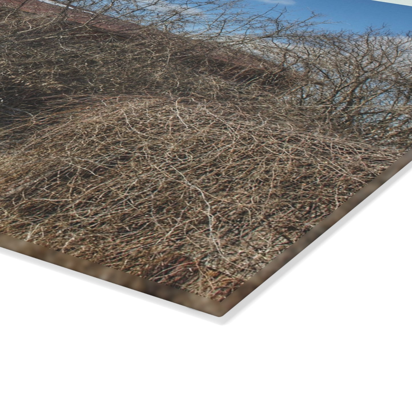 U R There Photography Buried Burnside Greys I Rustic Farmhouse Tempered-Glass Cutting Board