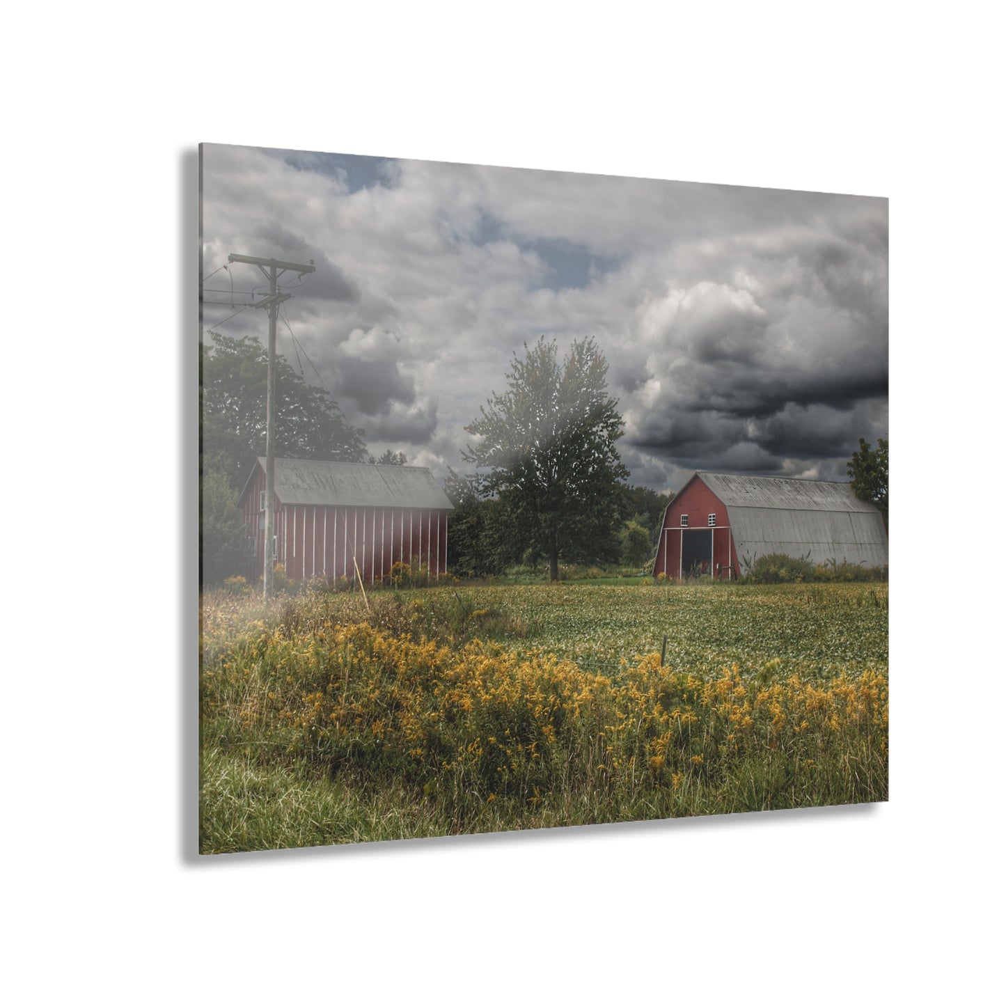 U R There Photography Pinstripe Barn and Buddy II Rustic Farmhouse Acrylic Wall Print