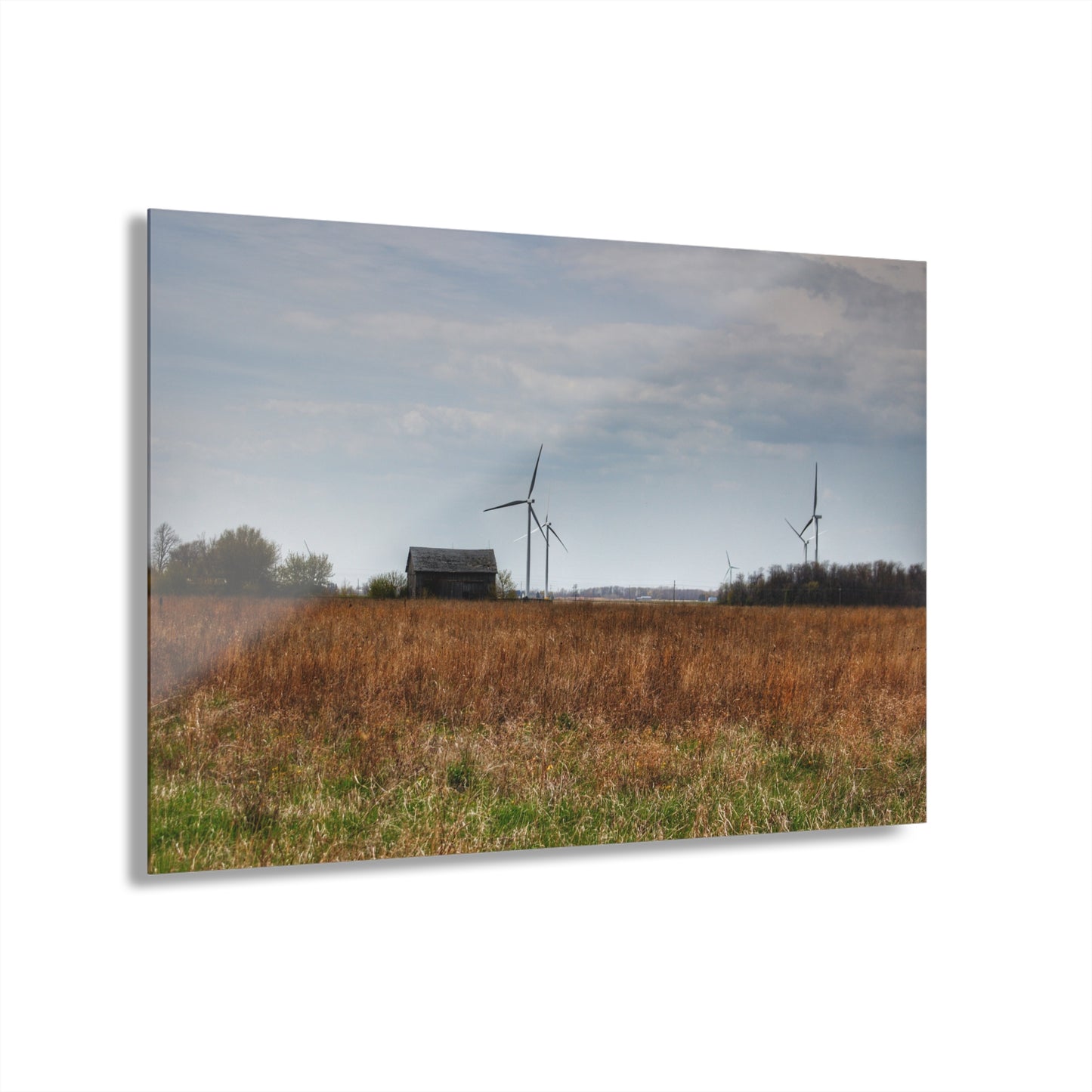U R There Photography Surin Road Grey Rustic Farmhouse Acrylic Wall Print