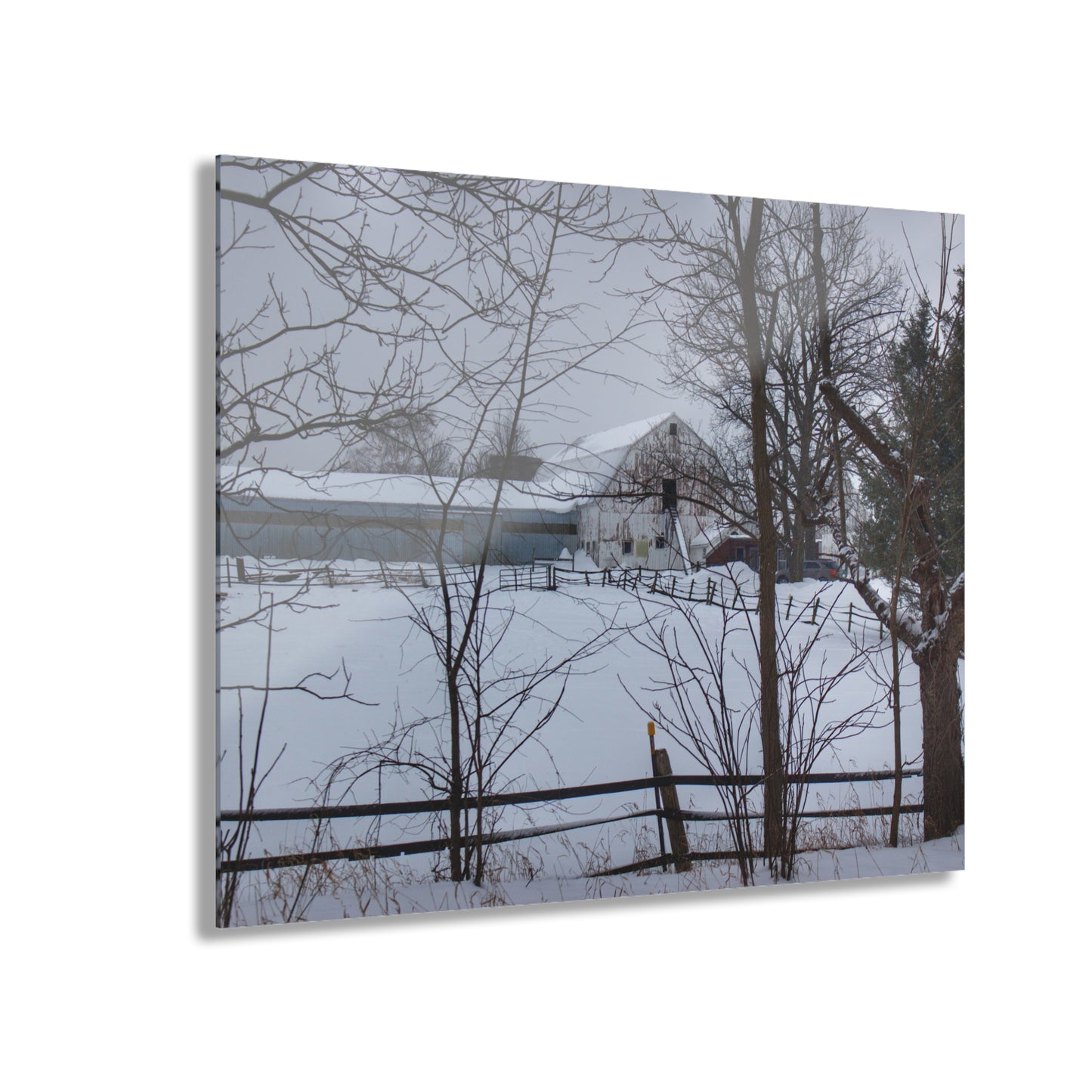 U R There Photography Oakwood Hidden White Rustic Farmhouse Acrylic Wall Print