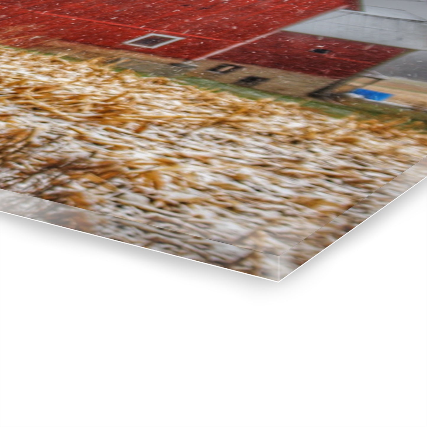 U R There Photography Shoemaker Road Winter Reds I Rustic Farmhouse Acrylic Wall Print