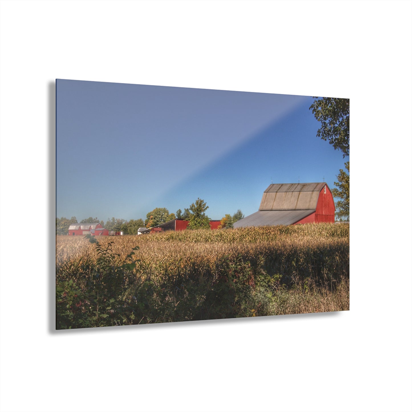 U R There Photography Red Saltbox Barn Rustic Farmhouse Acrylic Wall Print
