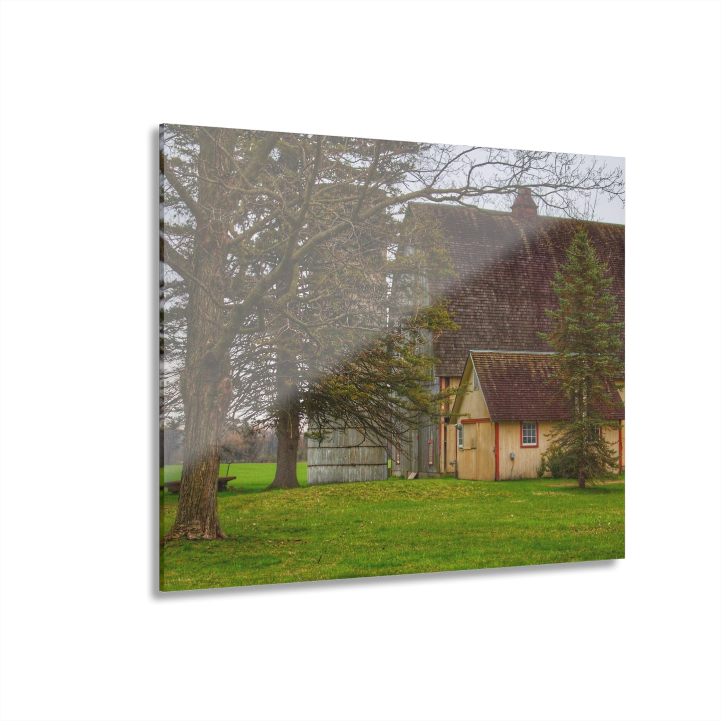 U R There Photography Romeo Van Dyke Grey Rustic Farmhouse Acrylic Wall Print