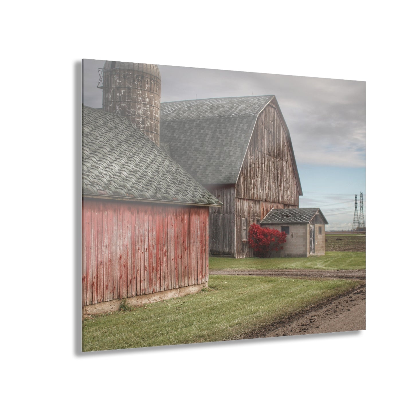 U R There Photography Roedel Roadside Reds III Rustic Farmhouse Acrylic Wall Print