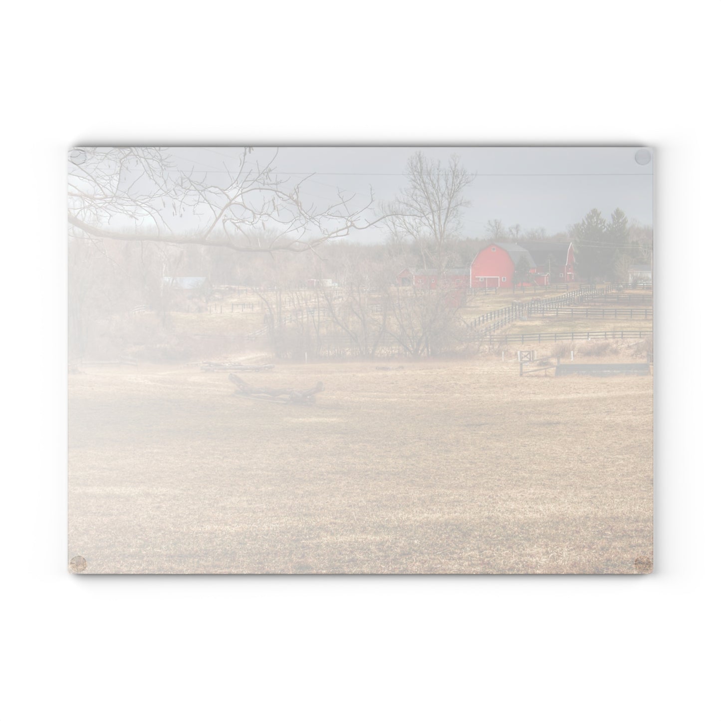 U R There Photography Beyond the Trees on Rock Valley Road Rustic Farmhouse Tempered-Glass Cutting Board