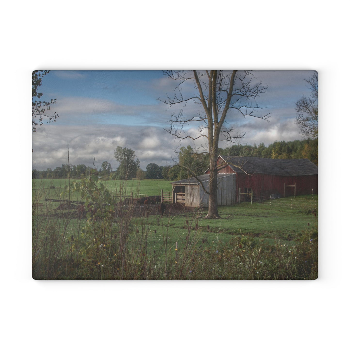 U R There Photography West Oregon Road Hidden Red IV Rustic Farmhouse Tempered-Glass Cutting Board